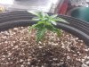 20131018_184347.jpg