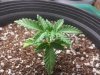 20131018_184257.jpg