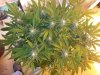 20131017_110654.jpg