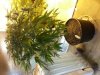 20131017_110848.jpg