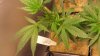 20131020_095559.jpg