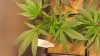 20131020_095604.jpg