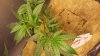 20131020_095640.jpg