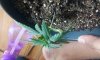 20131020_183538.jpg