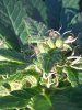 CYMERA_20131020_172334.jpg