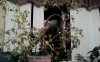 picture003.jpg