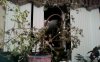 picture004.jpg