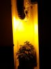 20131022_210253.jpg