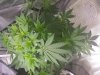 20131022_172408.jpg