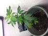 20131022_184451.jpg