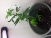20131022_184513.jpg