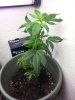 20131022_184451.jpg
