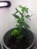 20131022_184513.jpg