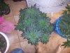 20131022_224452.jpg