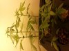20131023_024119.jpg