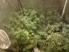2013-10-04 20.03.24.jpg