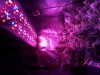 20131018_190220.jpg