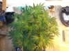 20131024_095328.jpg