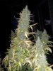 20131025_072329.jpg