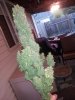 20131025_084531.jpg