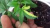 20131025_231845.jpg 20131025_231845.jpg