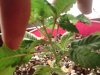 IMG_20131028_084459.jpg