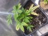 20131028_230218.jpg