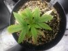 20131028_230234.jpg 20131028_230234.jpg