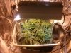IMG_20131029_001745.jpg