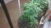 IMG_20131027_230945_518.jpg