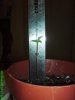 DSC00006.jpg