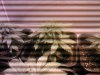SP_A0153.jpg