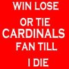 cards.jpg