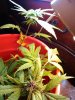 IMG_20131027_171108.jpg