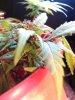 IMG_20131028_230625.jpg
