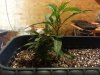 20131030_203252.jpg