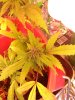 IMG_20131031_234135.jpg