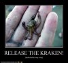 release-the-kraken [DVD (PAL)].jpeg