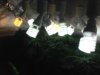 IMG_0697.jpg IMG_0697.jpg