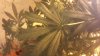 20131104_121618.jpg 20131104_121618.jpg