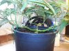 20131104_101335.jpg