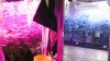 halloween 004.jpg