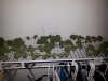 20131104_130118.jpg