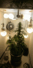 treecab5.gif