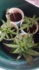 20131107_222140_resized.jpg