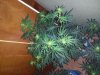 20131107_232628.jpg