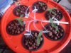 20131107_075328.jpg