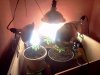 IMG_20131109_094405.jpg