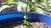 20131109_131436.jpg