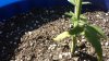 20131109_131545.jpg
